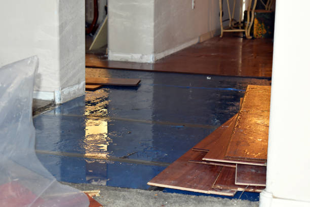Professional Burst Pipe Cleanup technician working in Taylor, TX